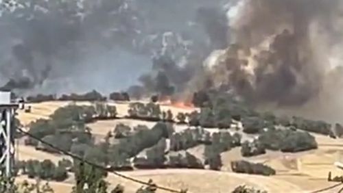 Tokat'ta anız yangınında 100 dönüm tarım arazisi zarar gördü